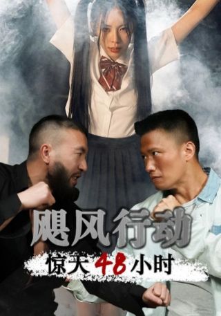 短剧飓风营救惊天48小时海报