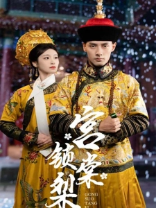 短剧宫锁棠梨海报