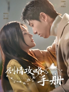 短剧剧情攻略手册海报