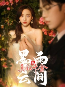 短剧墨雨云间之真假千金海报