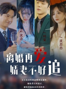 短剧离婚再爱娇妻不好追海报