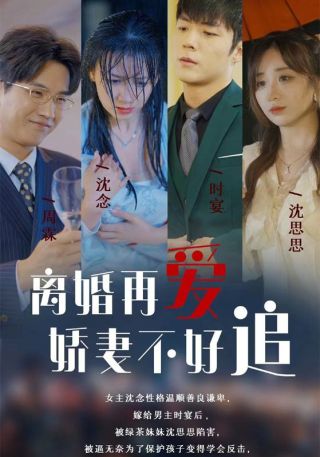 短剧离婚再爱娇妻不好追海报