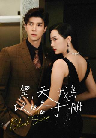 短剧黑天鹅攻略手册海报