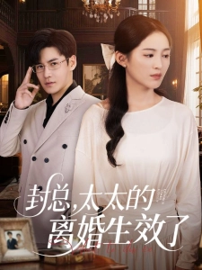 短剧封总，太太的离婚生效了海报