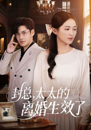 短剧封总，太太的离婚生效了海报