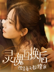 短剧灵魂互换后沈总每天都撩我海报