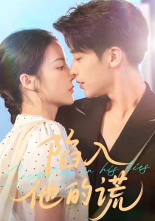 短剧陷入他的谎海报