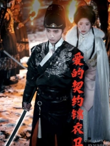 短剧爱的契约锦衣卫海报