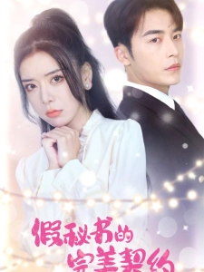 短剧假秘书的完美契约海报