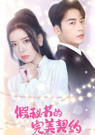 短剧假秘书的完美契约海报