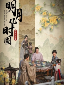 短剧明月几时圆海报