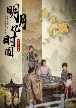 短剧明月几时圆海报