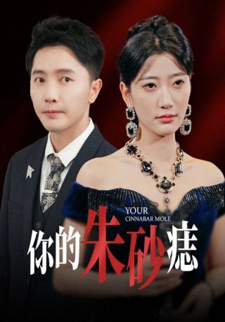 短剧你的朱砂痣海报