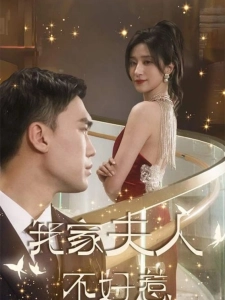 短剧我家夫人不好惹海报