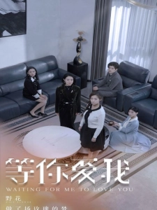 短剧等你爱我海报