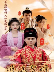 短剧逍遥赘婿海报