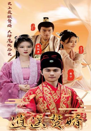 短剧逍遥赘婿海报