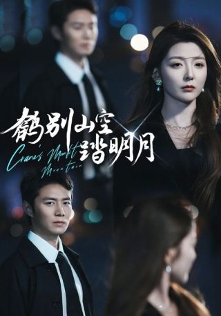 短剧鹤别山空踏明月海报