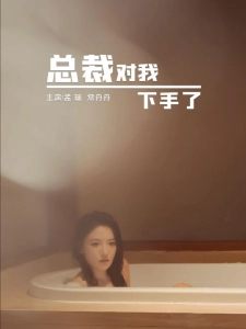 短剧总裁对我下手了海报