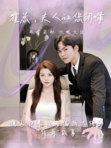 短剧霍总，夫人让您闭嘴海报