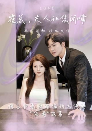 短剧霍总，夫人让您闭嘴海报