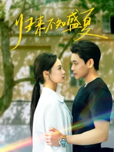 短剧归来不知盛夏海报