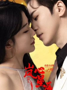 短剧岚心星辰海报