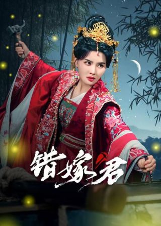 短剧错嫁君海报