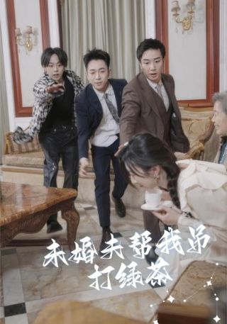 短剧未婚夫帮我吊打绿茶海报