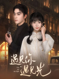 短剧遇见你遇见光海报