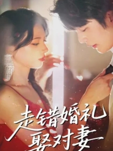 短剧走错婚礼娶对妻海报