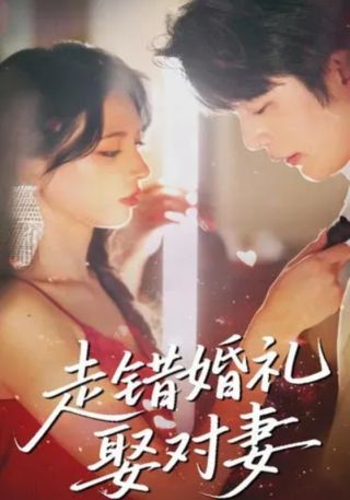 短剧走错婚礼娶对妻海报