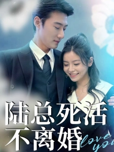 短剧陆总死活不离婚海报