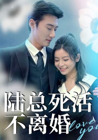 短剧陆总死活不离婚海报