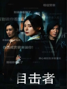 短剧目击者海报