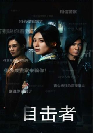 短剧目击者海报