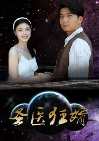 短剧圣医狂婿海报