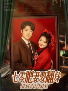 短剧七零肥妻要翻身海报