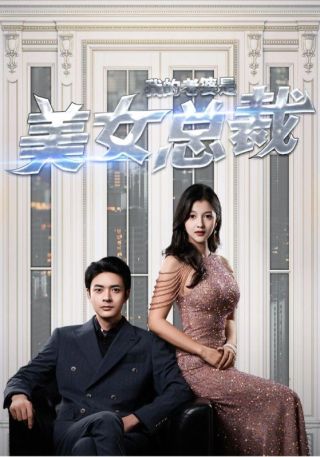 短剧我的老婆是美女总裁海报