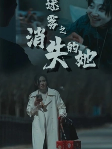 短剧迷雾之消失的她海报