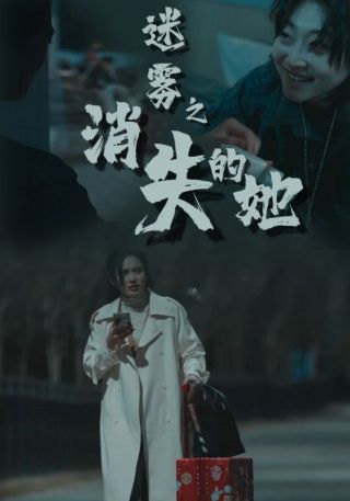 短剧迷雾之消失的她海报