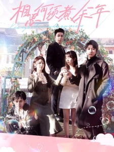 短剧相思何须煮余年海报