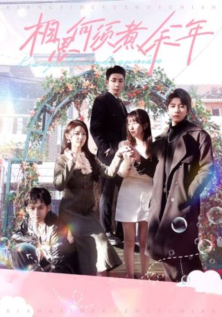 短剧相思何须煮余年海报