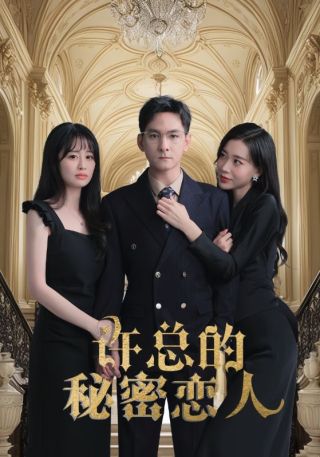 短剧许总的秘密恋人海报