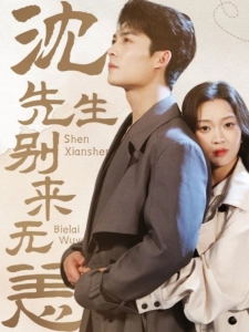 短剧沈先生，别来无恙海报