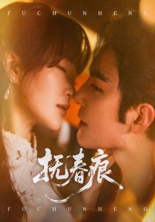 短剧抚春痕海报