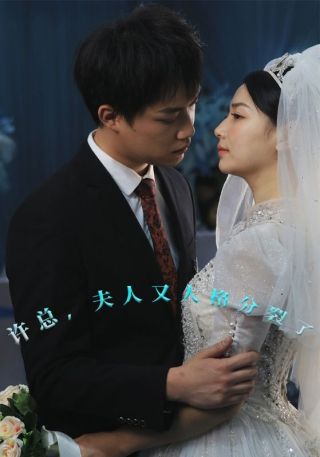 短剧许总，夫人又人格分裂了海报