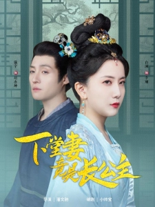 短剧下堂妻竟是长公主海报