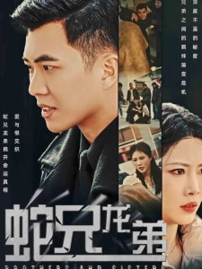 短剧蛇兄龙弟海报