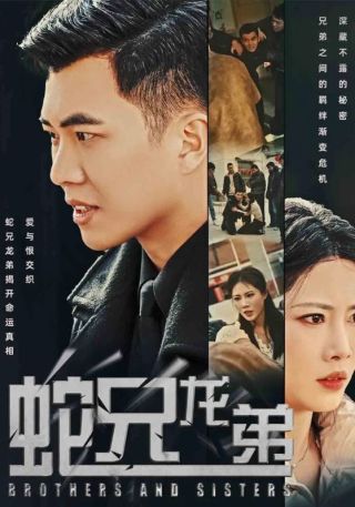 短剧蛇兄龙弟海报